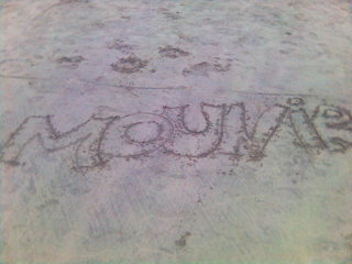 mounir